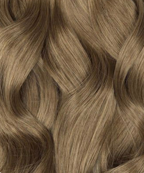 Medium Brown